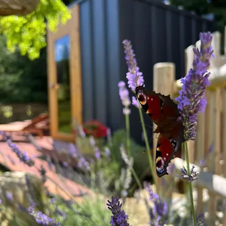 Casa de Férias Tiny House Vsemily *