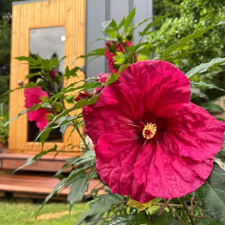 Tiny House Vsemily Prázdninový dům *